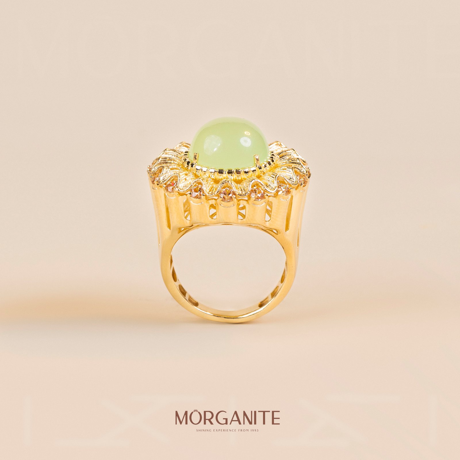 MORGANITE6